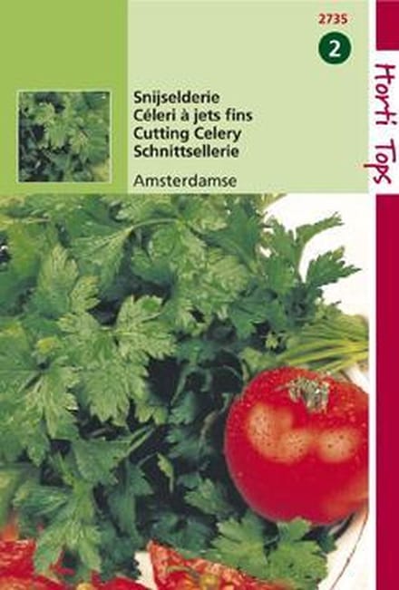 Hortitops Zaden - Snijselderie Amsterdamse Donkergroene