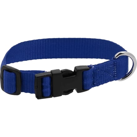 Hondenhalsband Riding World Pat