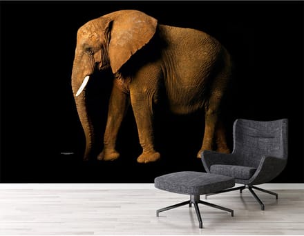 Fotobehang ElephantSite DD114676 A.S. Création XXL 5 | 3D Fotobehang