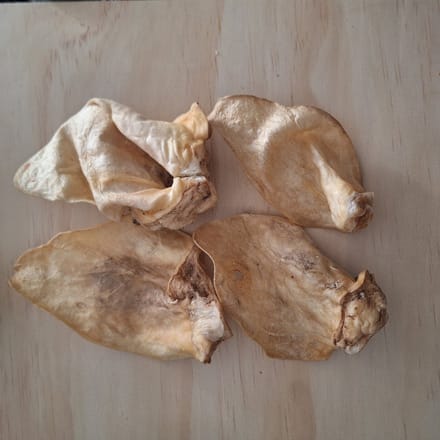Carlos Runder Oren zonder pit