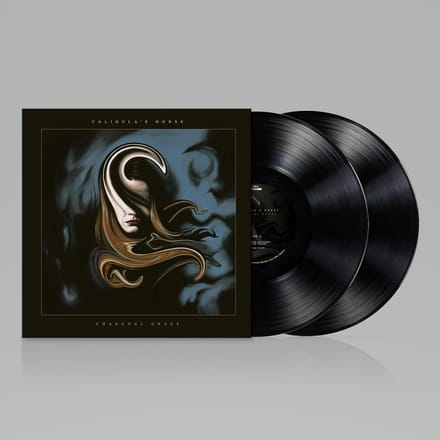 Zwart Dubbel Vinyl Album met Gatehold Verpakking