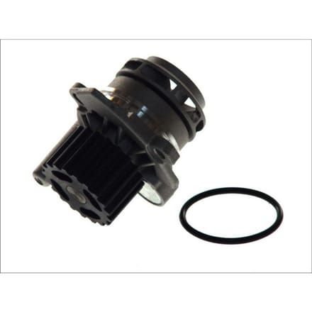 Waterpomp THERMOTEC D1W039TT