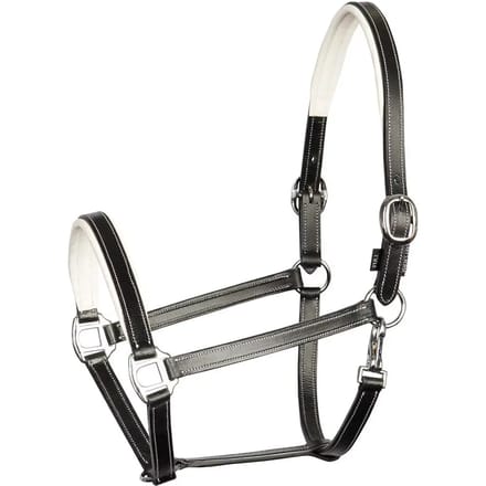 Lederen halster voor paarden Harry's Horse Elegance