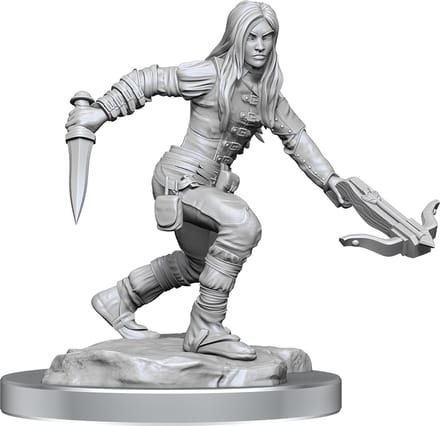 D&D Nolzur's Marvelous Miniatures Half-Elf Rogues Female 2