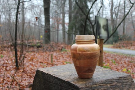 Mangohouten urn de Leyzing-3