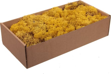 Mos Materiaal - W/b. 500g. Finnland Moss Yellow 500gr.