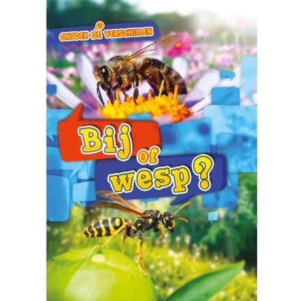 Bij Of Wesp? - Ontdek De Verschillen - Kirsten Chang