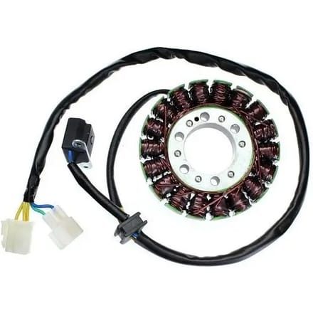 Originele aanpasbare motor dynamo Electrosport Hyosung
