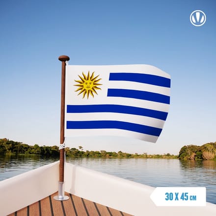 Vlag Uruguay 30x45cm