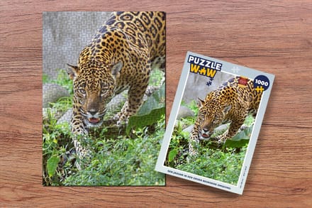 Puzzel Jaguar - Jungle - Groen - Legpuzzel - Puzzel 1000 stukjes volwassenen