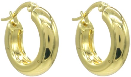 Oorringen - RVS - goudkleurig - 20 mm - dames