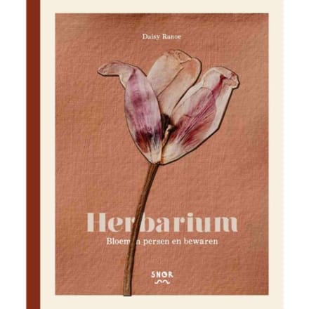 Herbarium - Daisy Ranoe
