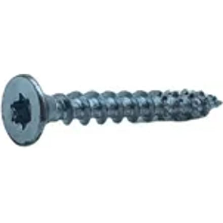 Sencys Univ. Schroef Pk Torx 6x50mm Gegalvaniseerd Per 5