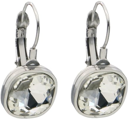 Oorbellen - RVS - kristal - 2,5 cm - wit