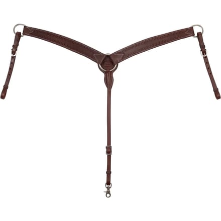 Jachthoofdstel voor paard met western gegraveerde motieven Pool's