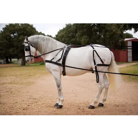 Harnassenset voor nylon paard Hispano Hipica Hagen