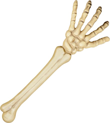 Boland - Decoratie Skeletarm - Piraten;Horror - Piraten- Horror