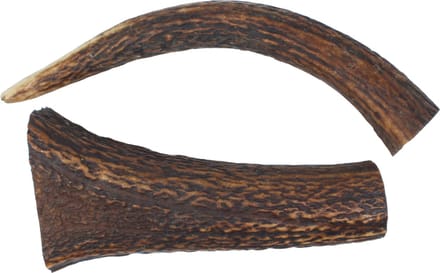 Hertengewei – Maat S (100-130 g) – 100% Natuurlijk Kauwbot voor Honden