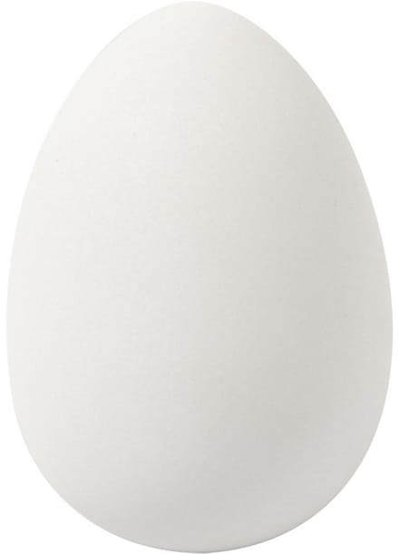 Creativ Company Goose eggs White 8st.