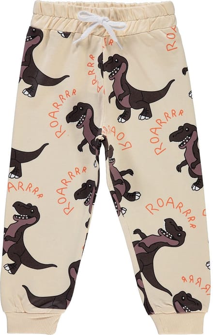 Dino broek jongens