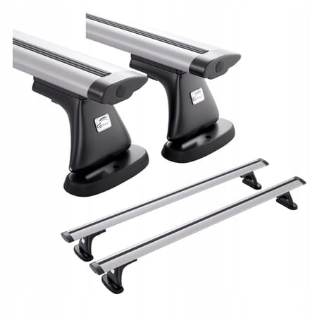 Dakdrager voor Renault Avantime Coupé 3D, bouwjaar 2000-2003