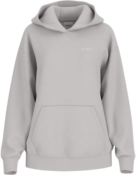 Guess Dames Trui Grijs V6RQ14-K9V31/H90V Nat