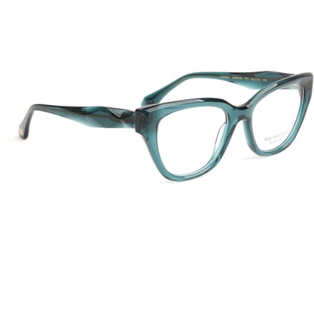 Ana Hickmann Optical Frame AH6546 T01 52
