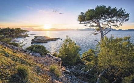 Fotobehang - Southern Light 400x250cm - Vliesbehang