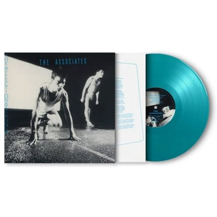 The Affectionate Punch - The Associates
