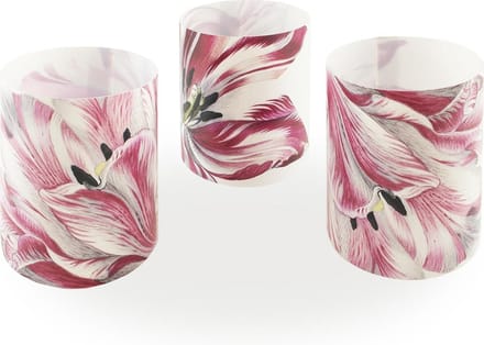 Windlichtjes, Merian, Drie tulpen