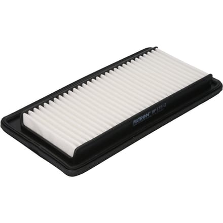Luchtfilter FILTRON AP177/2