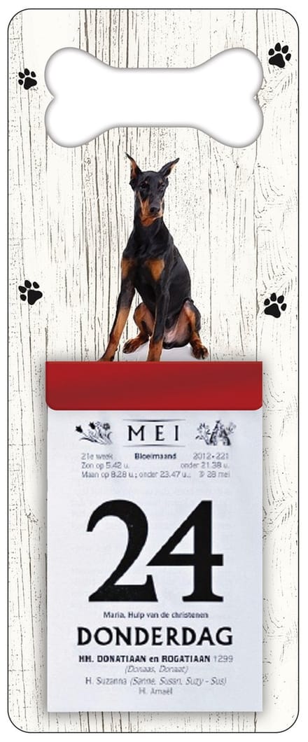 Scheurkalender 2027 Hond: Dobberman