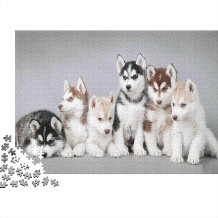 Legpuzzel Husky Puppy - Hond Puzzel - Ontspanning Thuis - 1000 Stukjes - 70 x 50 cm - Multi