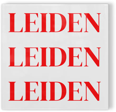 Tegeltje Leiden - wit rood - tegeltje stad - tegeltje met tekst