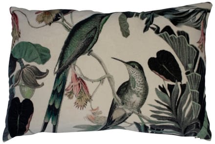 groot kussen fluweel exotisch honing vogel 40x60cm