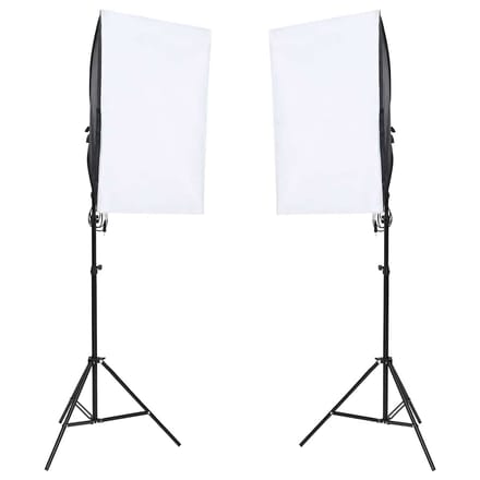 vidaXL - Studiolampen - 2 - st - professioneel - 40x60 - cm