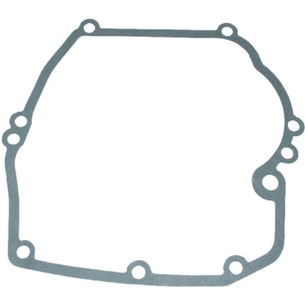 Briggs & stratton carterpakking (4182)
