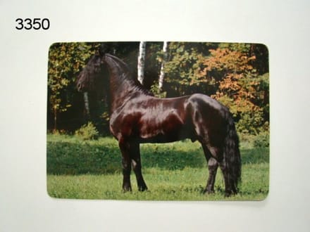 Geharo Placemat Fries paard - 41 x 29 cm - gelamineerd