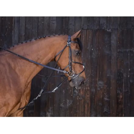 Gogue Riding World