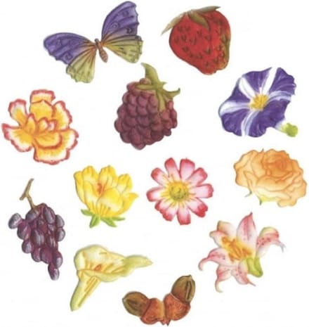 FMM Flowers & Fruit Cutter Set