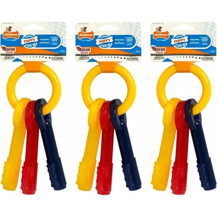 Hondenspeelgoed Nylabone Puppy Teething Keys - Bacon XS
