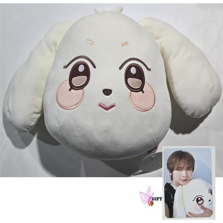 Ateez Aniteez Ice In The City Pluche Kussen