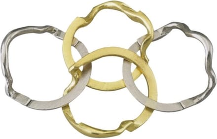 IQ-puzzel - Ring - Metaal - Niveau 4