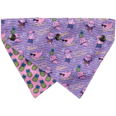Bandana FuzzYard Aloha Dolphins