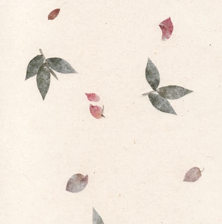 Set van 25 vel Tree Free Gampi papier met bloemen, A4