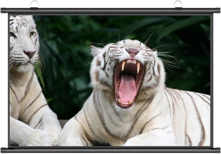 Projectiescherm Pull Down - Draagbaar Scherm - Thuisbioscoop Creëren - HD Beeldkwaliteit - 60 Inch 16:9 - Wit