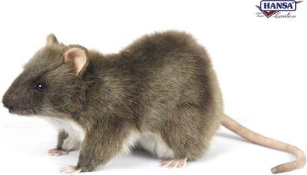 Hansa pluche rat - knuffel rat - 19 cm - levensechte knuffeldier - realistisch