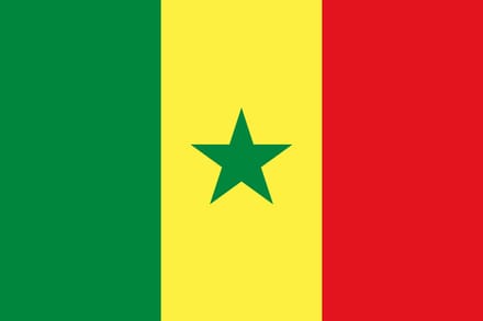 Vlag Senegal 300x450cm