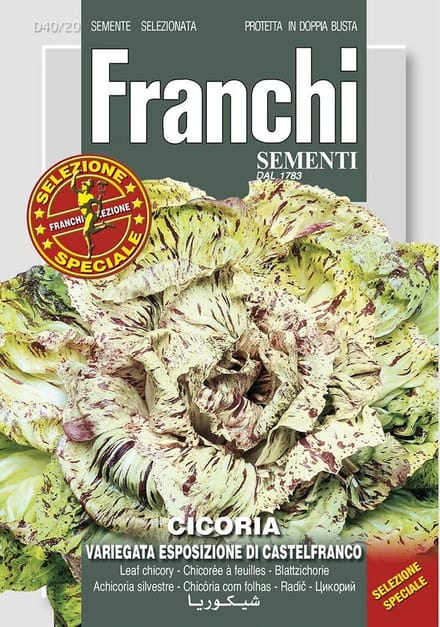 Franchi -  Cichorei, Cicoria var esp Castelfranco 40/20