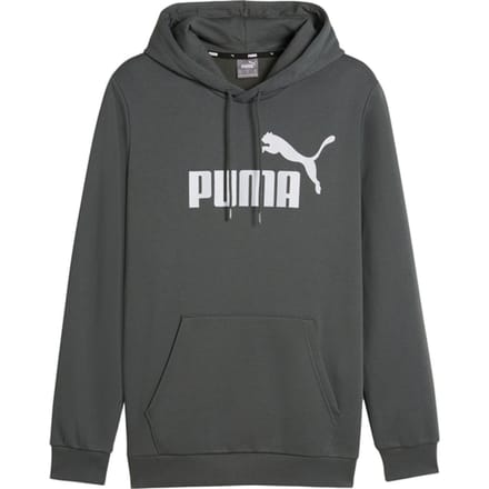 Puma Essentials Big Logo Hoody Grijs K069